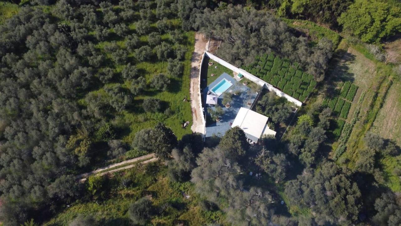 Villa Gardiki For2 Halikounas Dış mekan fotoğraf